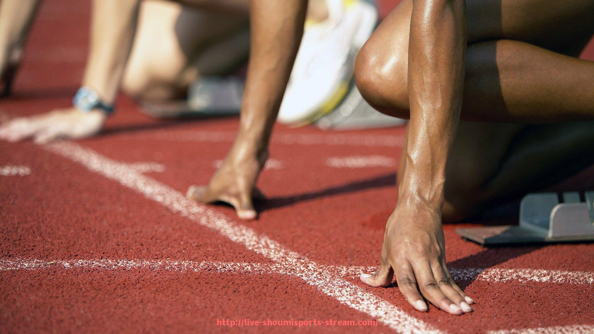 收米体育直播-世界杯直播回放平台分析：平台表现、功能差异与授权限制